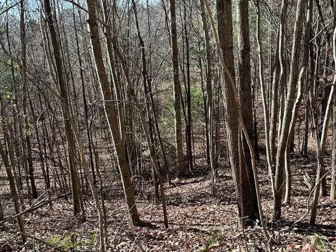 5 Lots Ali Drive Hayesville NC 28904