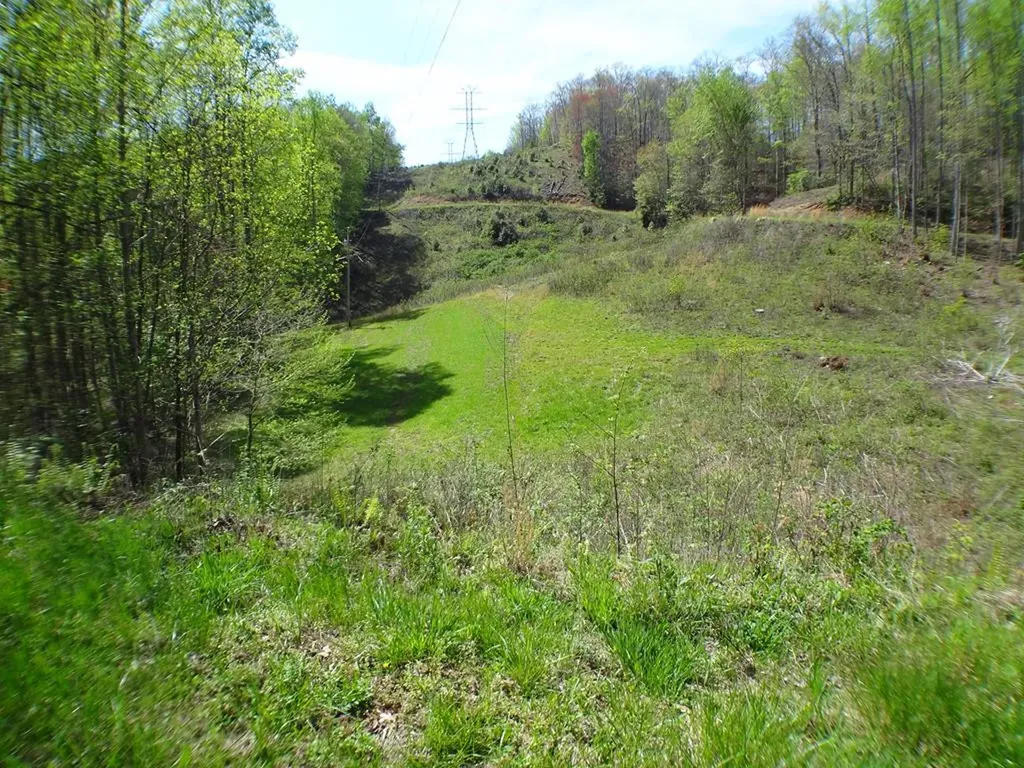 LOT10&11 Deweese Road Topton NC 28901