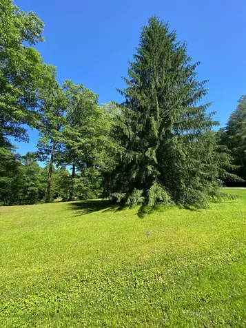00 Deer Run Robbinsville NC 28771