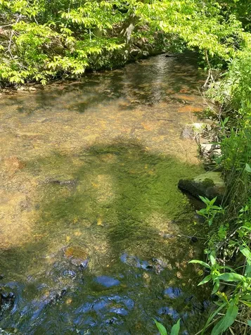 00 Deer Run Robbinsville NC 28771