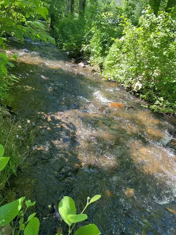 00 Deer Run Robbinsville NC 28771
