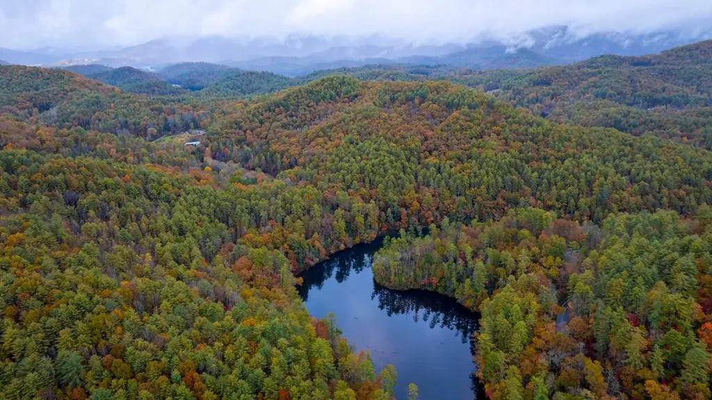 3549P Snowbird Road Robbinsville NC 28771