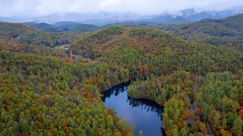 3549P Snowbird Road Robbinsville NC 28771