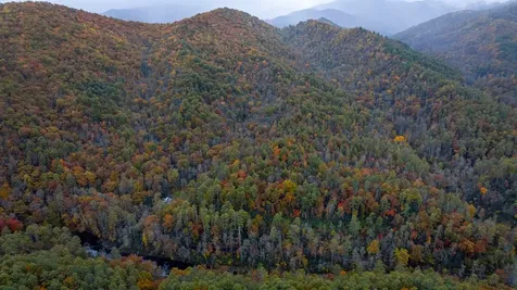 3549P Snowbird Road Robbinsville NC 28771