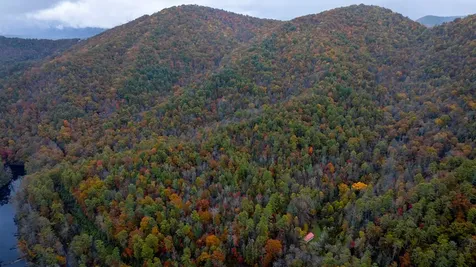 3549P Snowbird Road Robbinsville NC 28771