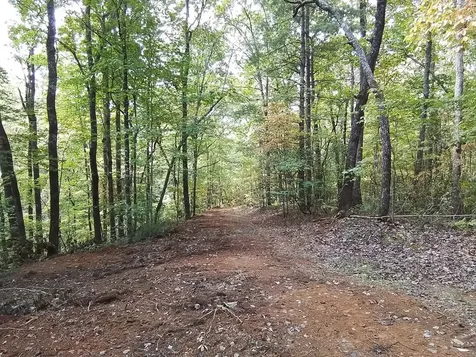 End Of Tanglewood Ridge Murphy NC 28906