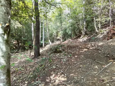 End Of Tanglewood Ridge Murphy NC 28906