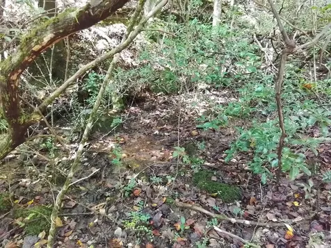 End Of Tanglewood Ridge Murphy NC 28906