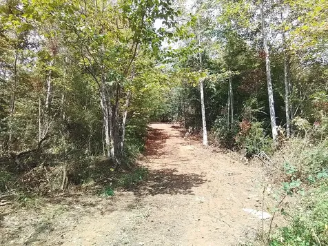 End Of Tanglewood Ridge Murphy NC 28906