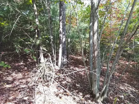 End Of Tanglewood Ridge Murphy NC 28906