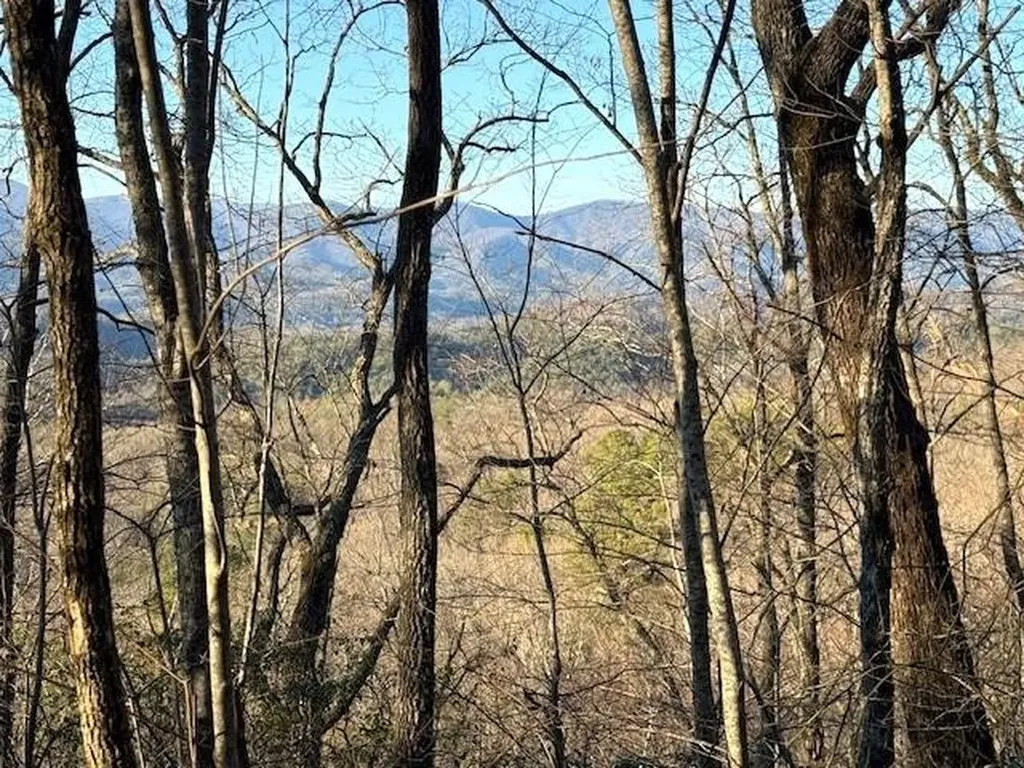 7.0 Ac Laurel Drive Marble NC 28905