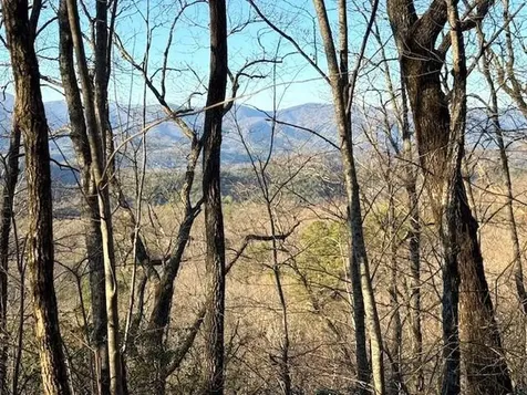 7.0 Ac Laurel Drive Marble NC 28905