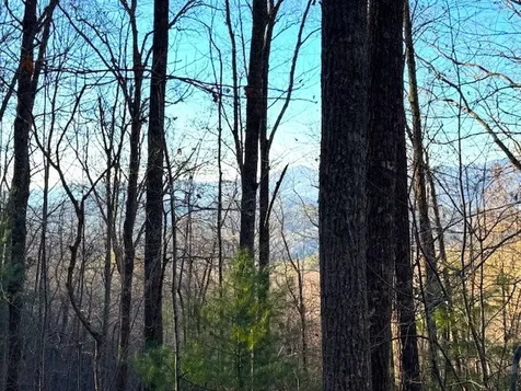 7.0 Ac Laurel Drive Marble NC 28905