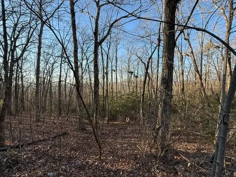 7.0 Ac Laurel Drive Marble NC 28905