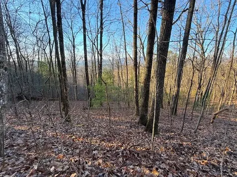 7.0 Ac Laurel Drive Marble NC 28905