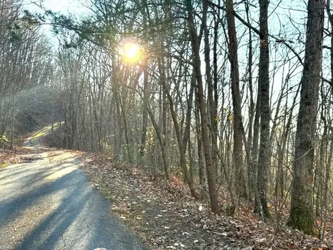7.0 Ac Laurel Drive Marble NC 28905