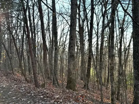 7.0 Ac Laurel Drive Marble NC 28905