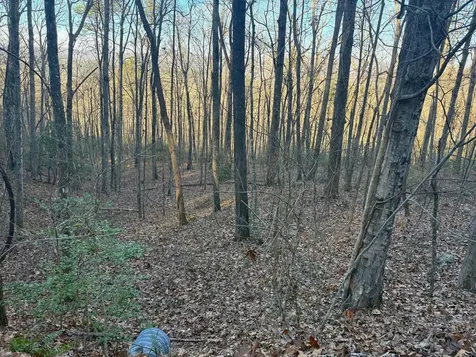 7.0 Ac Laurel Drive Marble NC 28905