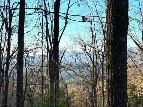 7.0 Ac Laurel Drive Marble NC 28905