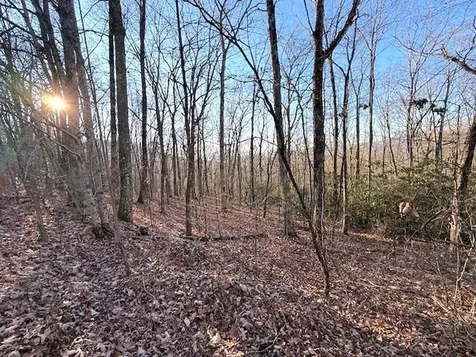7.0 Ac Laurel Drive Marble NC 28905