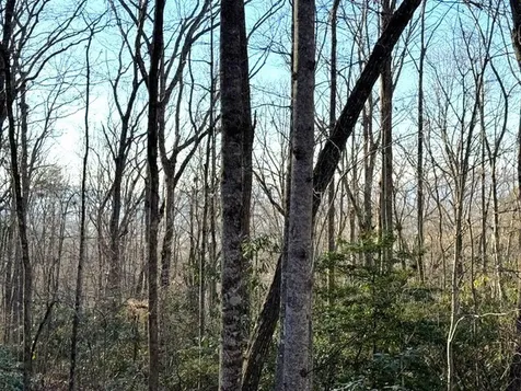 7.0 Ac Laurel Drive Marble NC 28905