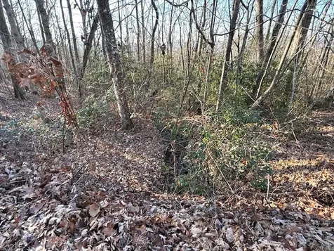 7.0 Ac Laurel Drive Marble NC 28905