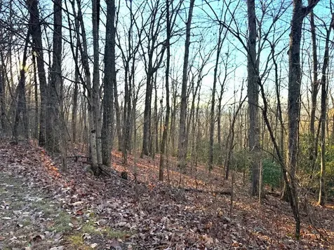 7.0 Ac Laurel Drive Marble NC 28905