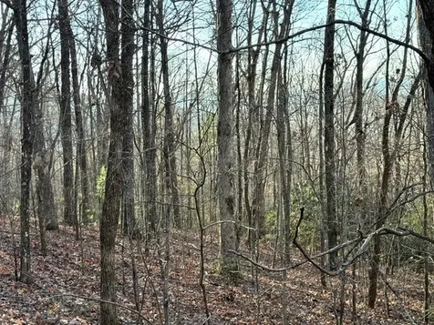 7.0 Ac Laurel Drive Marble NC 28905