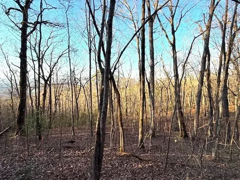 7.0 Ac Laurel Drive Marble NC 28905