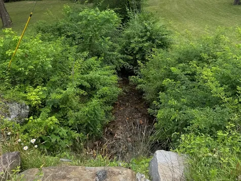 6211 Old Highway 64 W Warne NC 28909