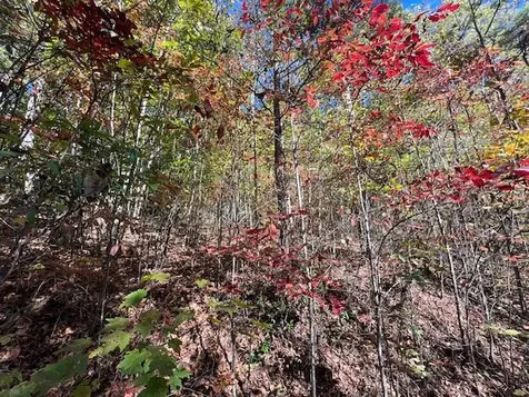 Tbd Upper Peachtree Road Murphy NC 28906