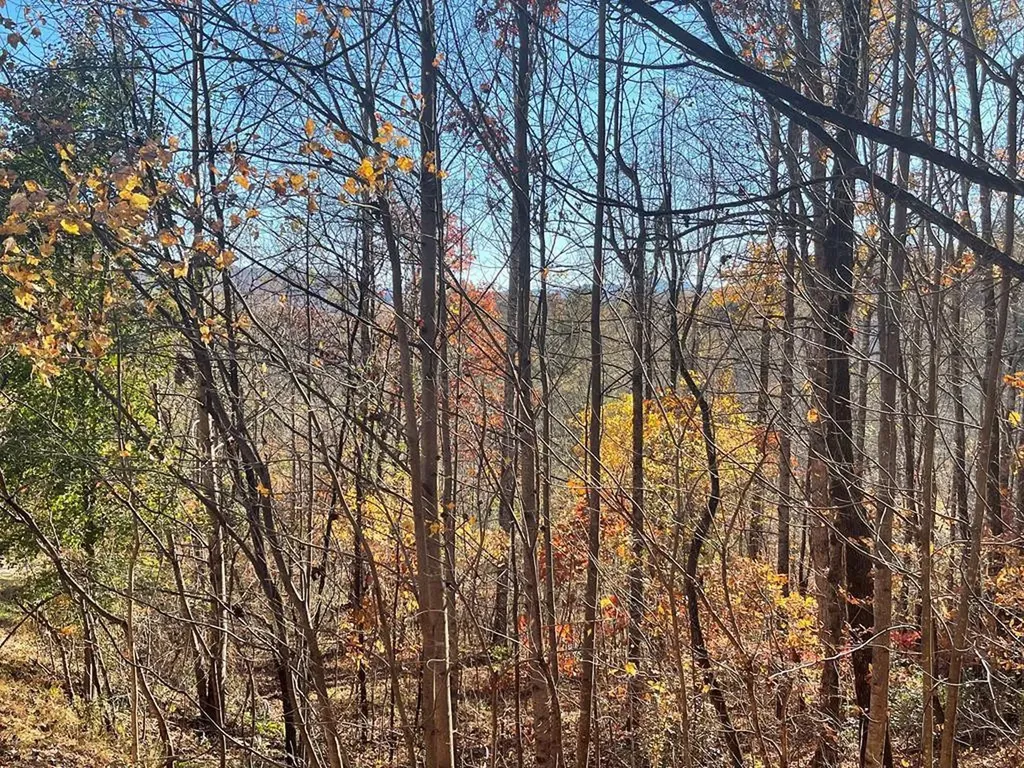 Lot 41c Ash Branch Circle Hayesville NC 28904