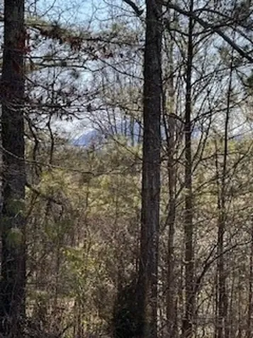 00 Sugar Maple Road Murphy NC 28906