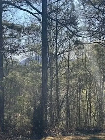 00 Sugar Maple Road Murphy NC 28906