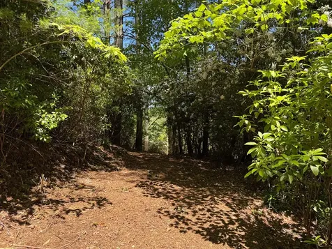 79 Forrest Edge Drive Murphy NC 28906