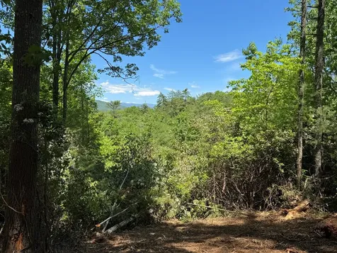 79 Forrest Edge Drive Murphy NC 28906