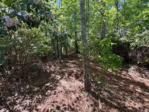 79 Forrest Edge Drive Murphy NC 28906