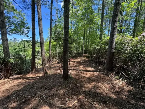 79 Forrest Edge Drive Murphy NC 28906