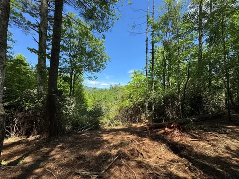 79 Forrest Edge Drive Murphy NC 28906