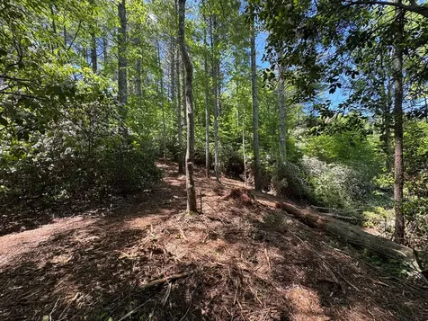 79 Forrest Edge Drive Murphy NC 28906