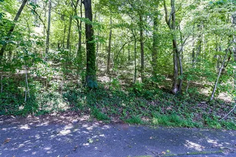 Lot 6 Kilpatrick Point Lane Hayesville NC 28904