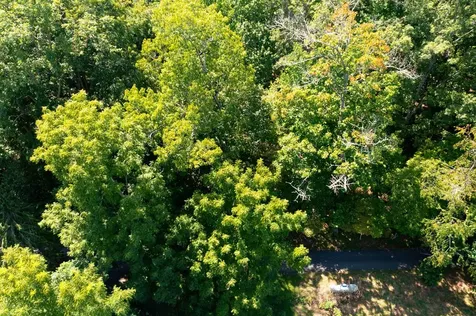 Lot 6 Kilpatrick Point Lane Hayesville NC 28904