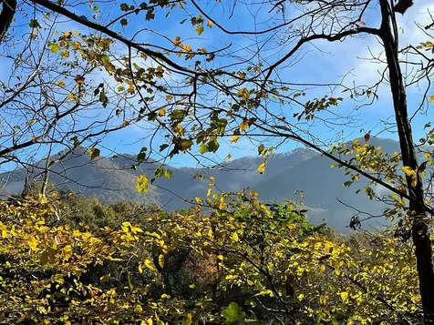 Lot 132a Meadow Ridge Drive Hayesville NC 28904