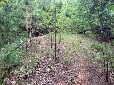 Lot 72 Foxtrot Lane Murphy NC 28906