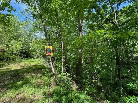 Lot 15 Paradise Marble NC 28905