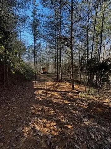 Lot 15 Paradise Marble NC 28905