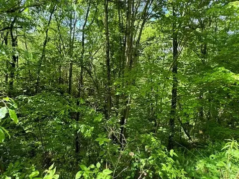 Lot 15 Paradise Marble NC 28905