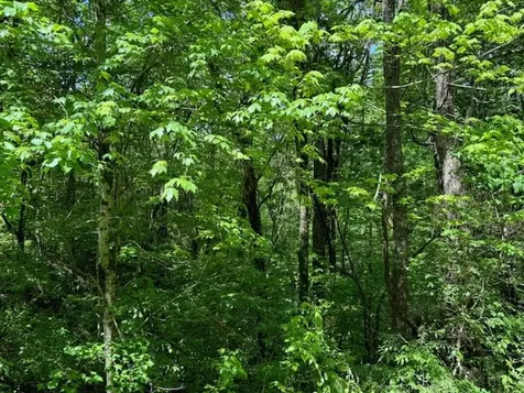 Lot 15 Paradise Marble NC 28905