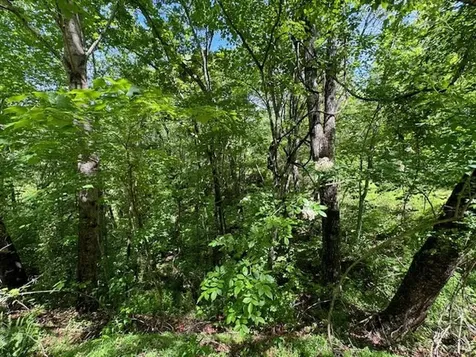 Lot 15 Paradise Marble NC 28905