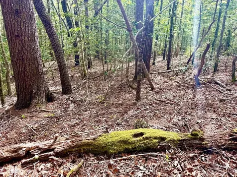 2.07 Ac Rainy Farm Road Murphy NC 28906